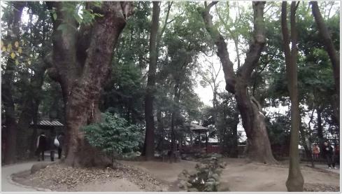いく9