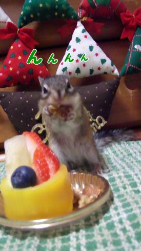hpXmas12