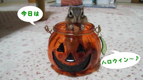 hrosu