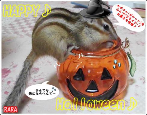 raraharo