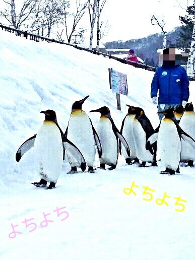 CYMERA_20140205_153053.jpg