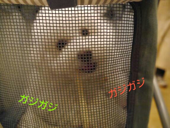 CYMERA_20140207_095259.jpg