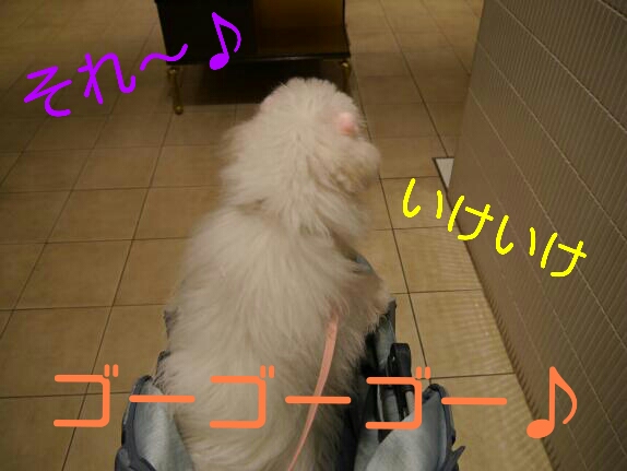 CYMERA_20140207_151401.jpg