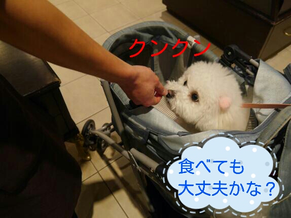 CYMERA_20140207_152716.jpg