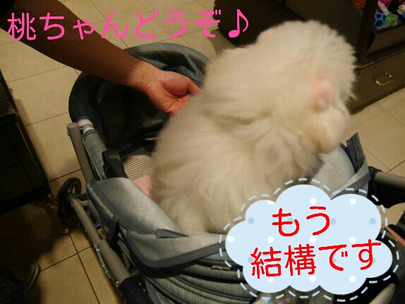CYMERA_20140207_153238.jpg