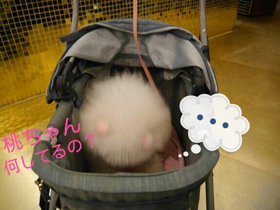 CYMERA_20140207_163221.jpg