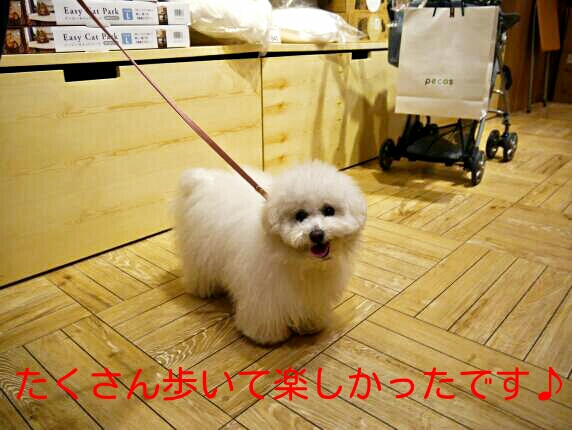 CYMERA_20140207_221925.jpg