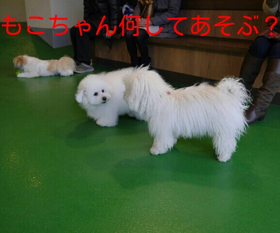CYMERA_20140213_105338.jpg