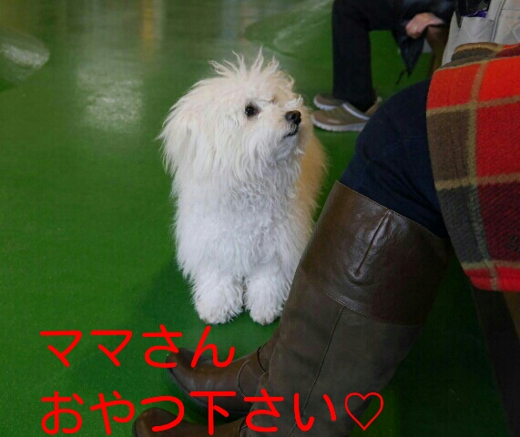 CYMERA_20140213_230819.jpg