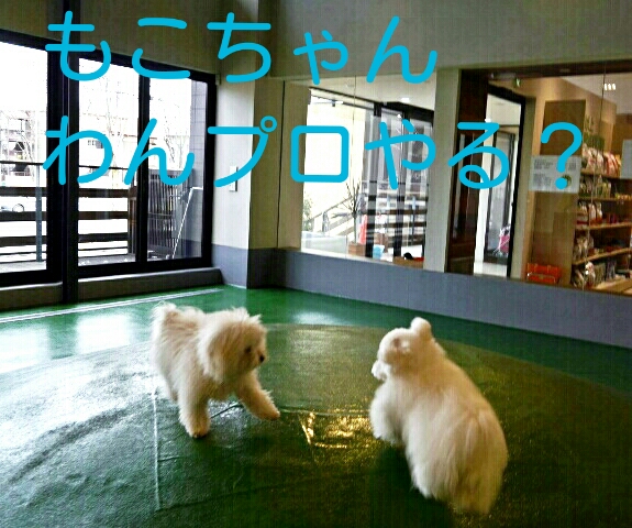 CYMERA_20140213_233316.jpg