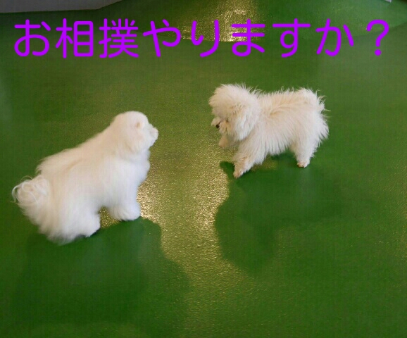 CYMERA_20140213_233509.jpg