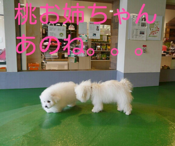 CYMERA_20140213_233658.jpg