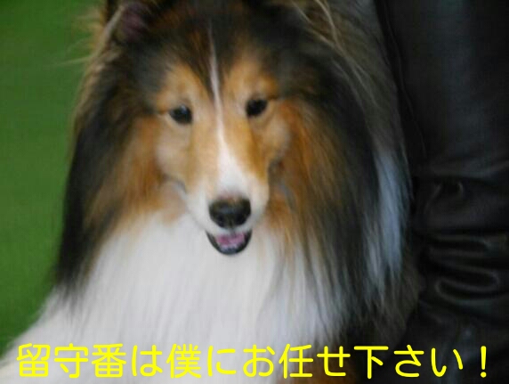CYMERA_20140214_005323.jpg
