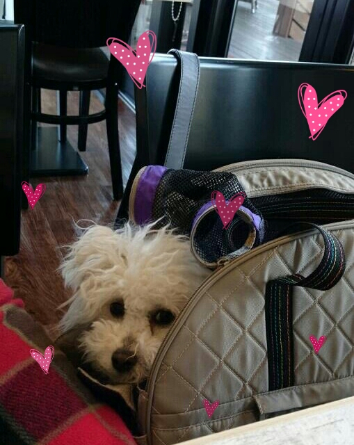 CYMERA_20140214_023947.jpg
