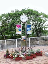 DSC_1014.jpg