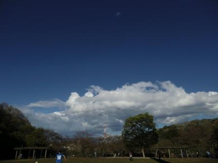 cCIMG0678.jpg