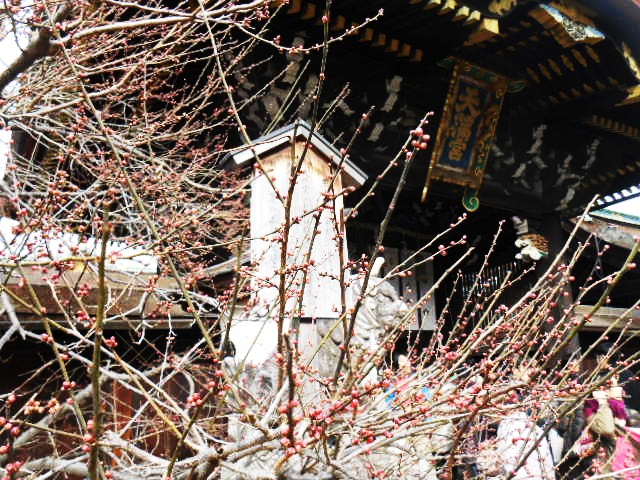 14012508.jpg
