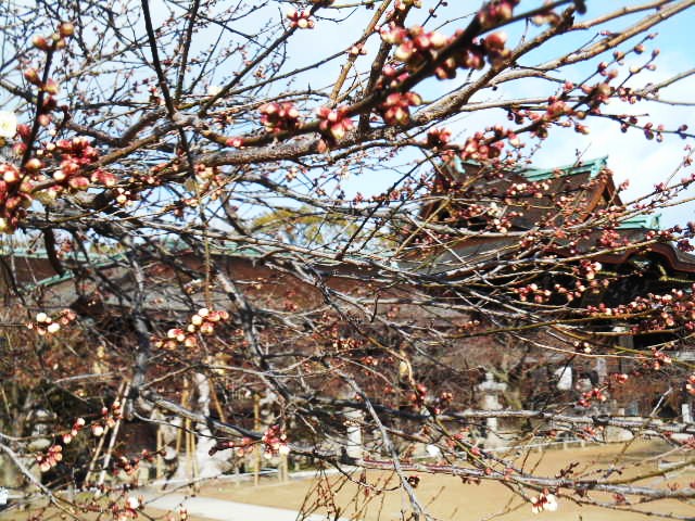14020515.jpg