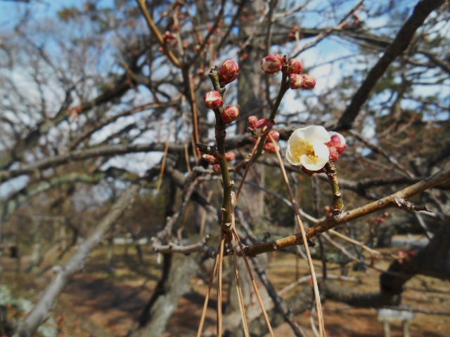 14020908.jpg