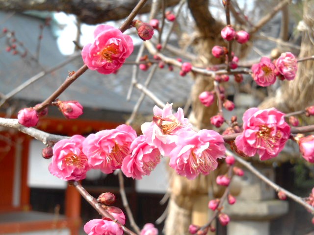14021025.jpg