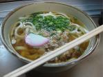 799px-Kashiwa-udon.jpg