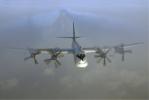 Tupolev_Tu-95_in_flight_a.jpg