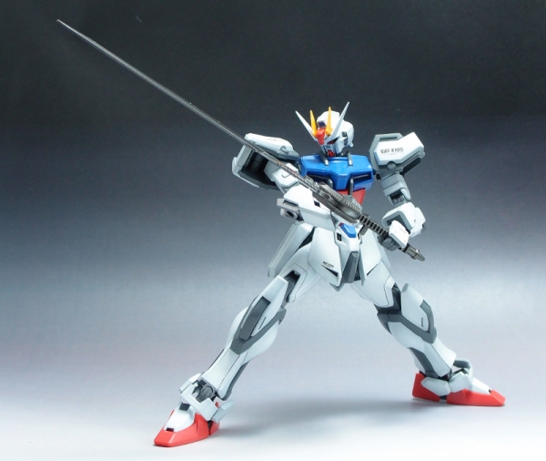 hgce_aile_strike (24)