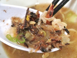 麺屋 浦島太郎24