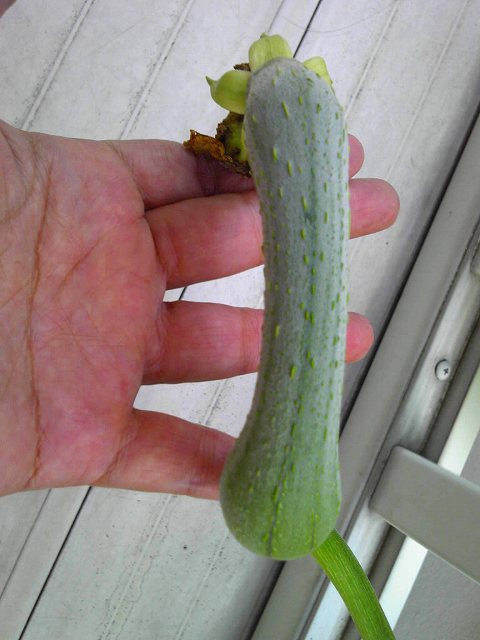 1209201