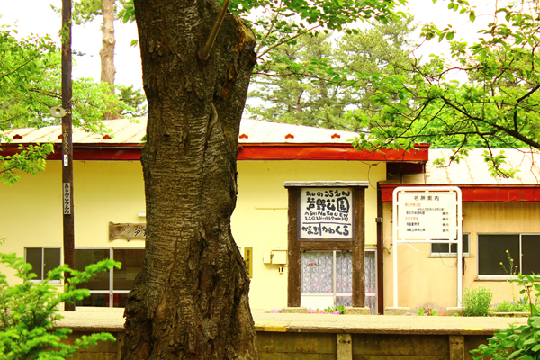 b02_01.jpg