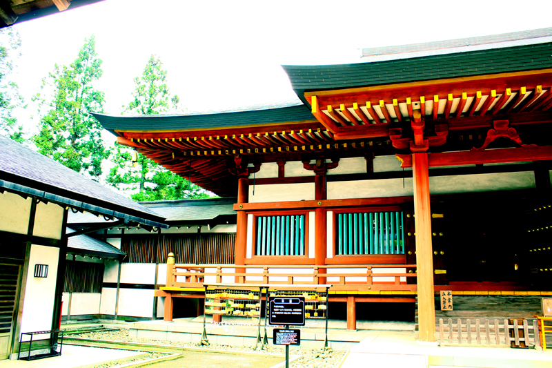 b03_23.jpg