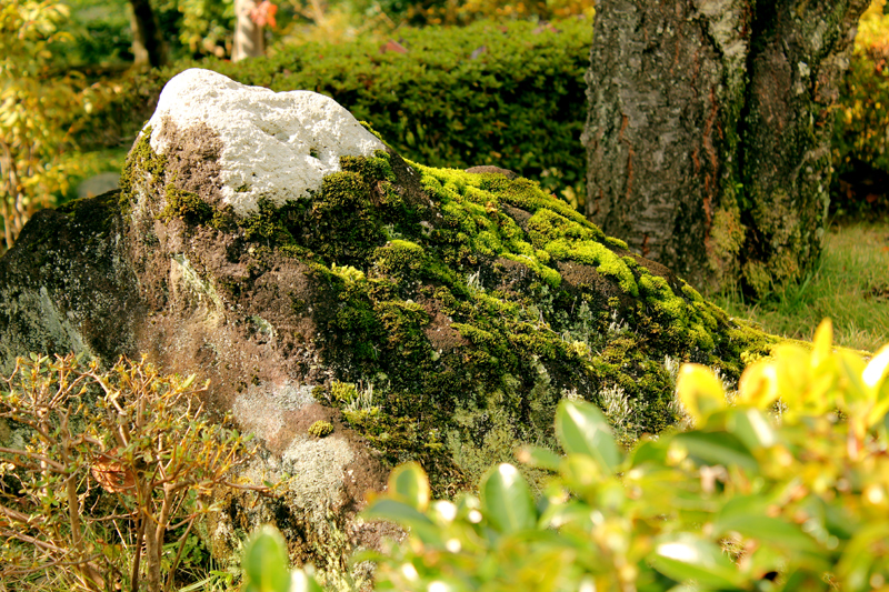 b03_94.jpg