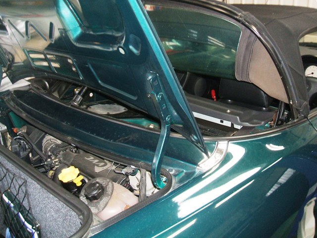 DSCF0195.jpg