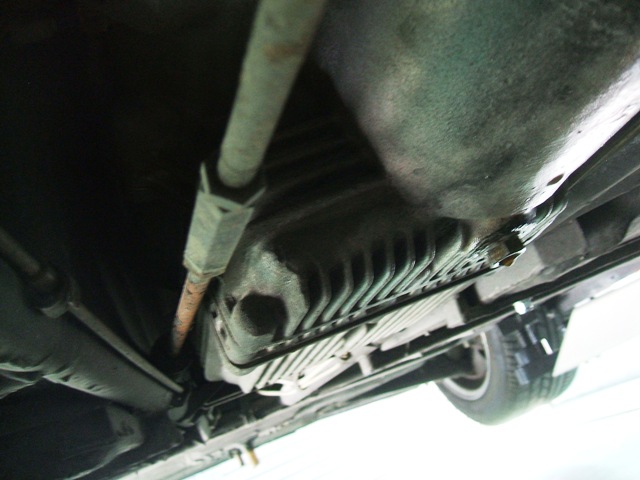 DSCF0437.jpg