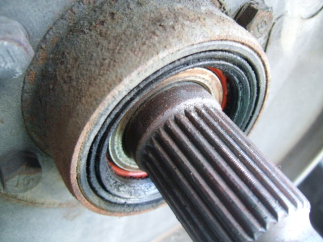 DSCF9681.jpg