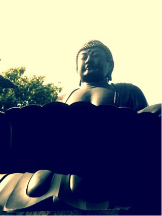 ●大仏さま