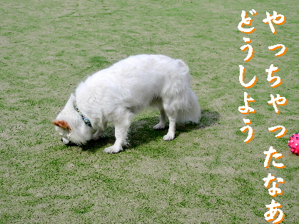 120507-2