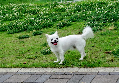120819-銀時-1
