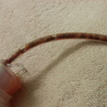 20130319_185753.jpg
