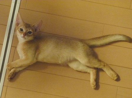 P1000410a.jpg