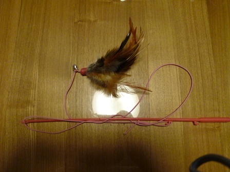P1000452a.jpg