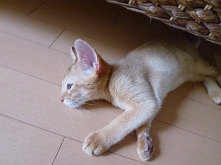 P1000482a.jpg