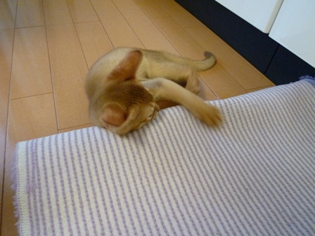 P1000576a.jpg