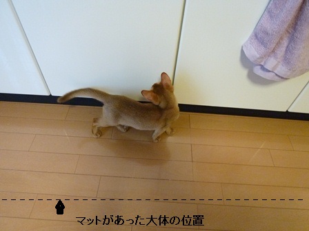 P1000579a.jpg