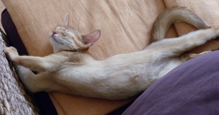 P1000606a.jpg