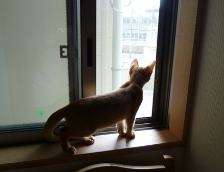 P1000646a.jpg