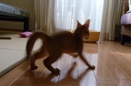 P1000659a.jpg