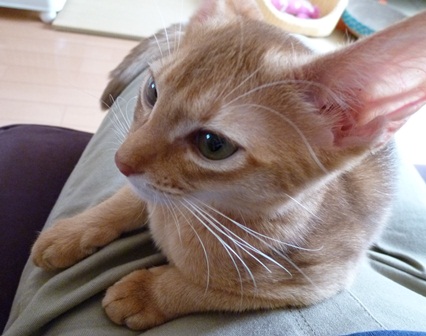 P1000679a.jpg