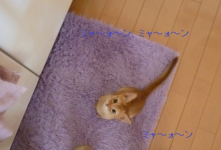 P1000683a.jpg