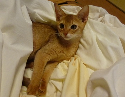 P1000725a.jpg